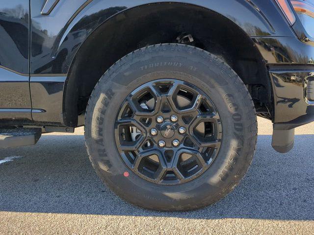 Photo of 2025 Agate Black Metallic Ford F-150