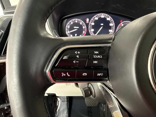 Photo of 2024 Artisan Red Metallic Mazda CX-90