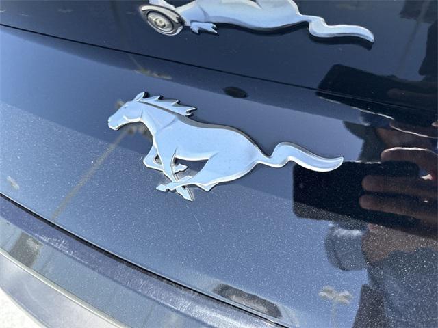 Photo of 2024 SHADOW BLACK Ford Mustang