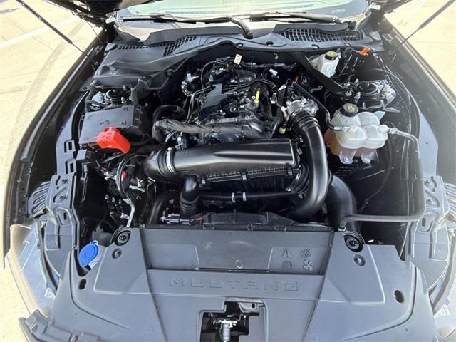 Photo of 2024 SHADOW BLACK Ford Mustang
