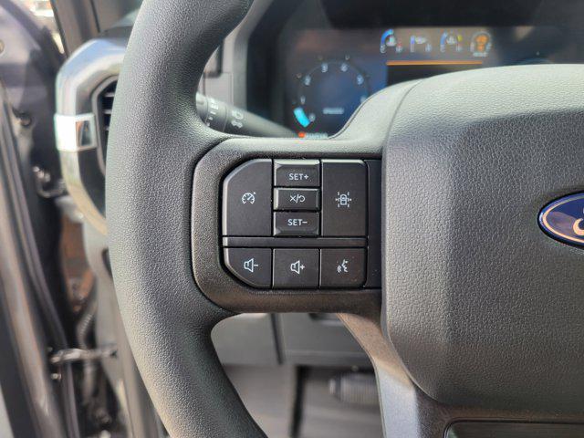 Photo of 2025 Carbonized Gray Metallic Ford F-150