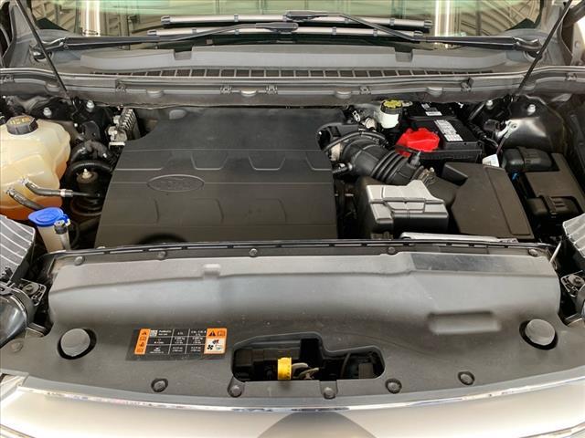 Photo of 2018 Magnetic Ford Edge