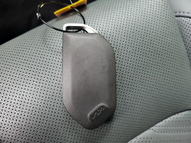 Photo of 2024 Green Kia Sorento
