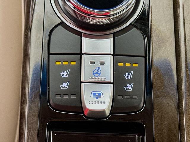 Photo of 2017 Patagonia Blue Metallic Genesis G90