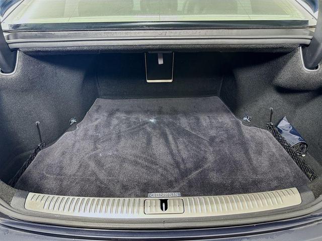 Photo of 2017 Patagonia Blue Metallic Genesis G90