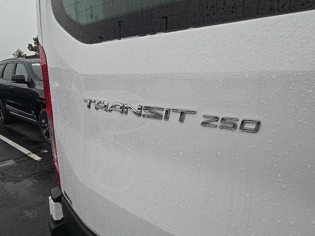 Photo of 2023 Oxford White Ford Transit-250
