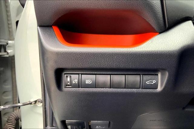 Photo of 2019 Lunar Rock / Ice Edge Roof Toyota RAV4