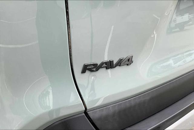 Photo of 2019 Lunar Rock / Ice Edge Roof Toyota RAV4