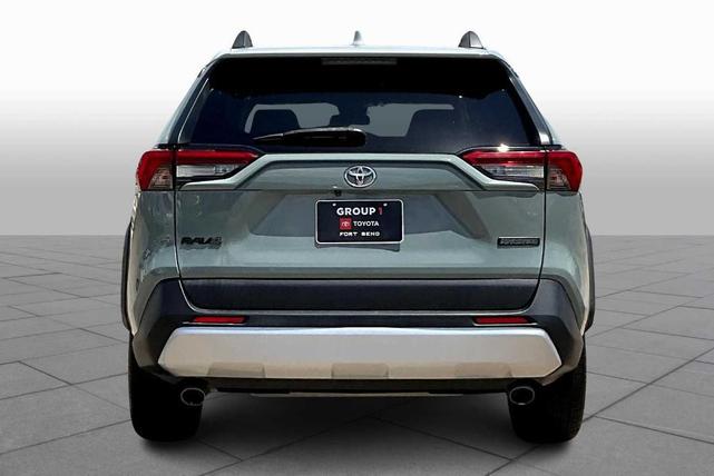 Photo of 2019 Lunar Rock / Ice Edge Roof Toyota RAV4