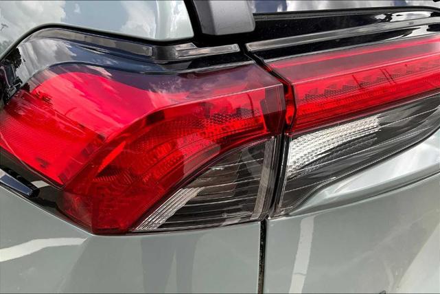 Photo of 2019 Lunar Rock / Ice Edge Roof Toyota RAV4