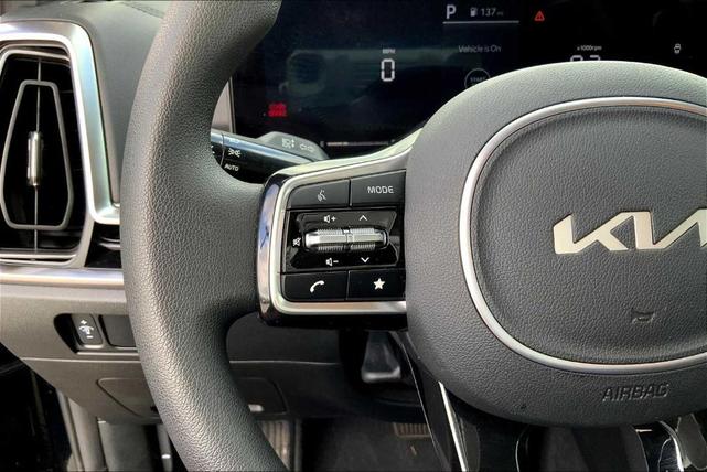 Photo of 2025 Ebony Black Kia Sorento