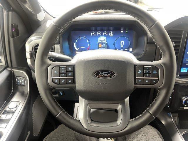 Photo of 2025 Rapid Red Metallic Tinted Clearcoat Ford F-150