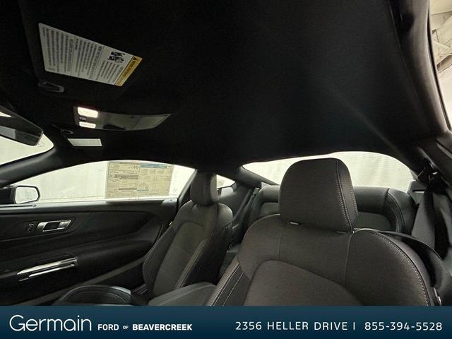 Photo of 2025 Magenta Ford Mustang