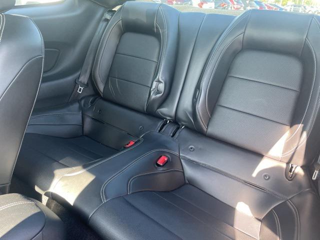 Photo of 2019 Magnetic Ford Mustang