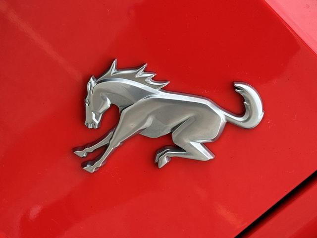 Photo of 2021 Race Red Ford Bronco