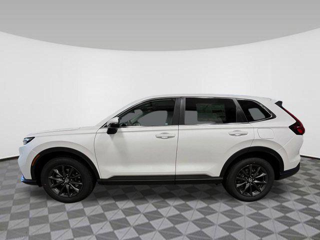 Photo of 2026 Platinum White Pearl Honda CR-V