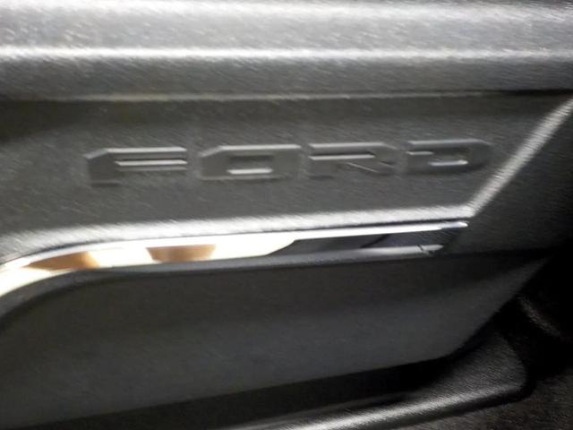 Photo of 2024 Blue Ford F-250