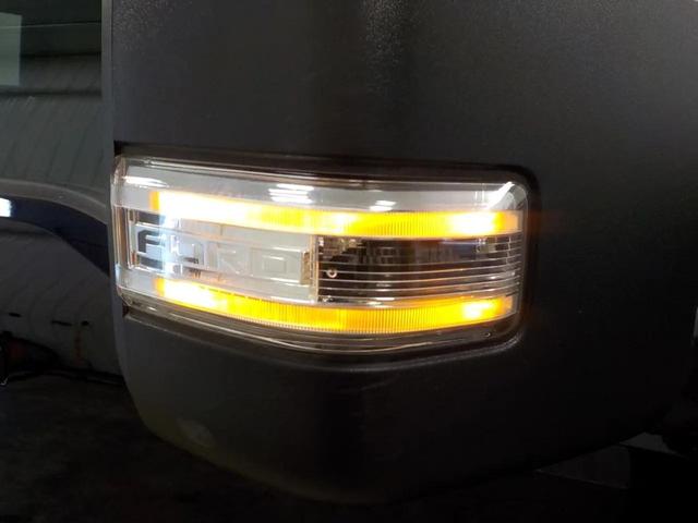 Photo of 2024 Blue Ford F-250