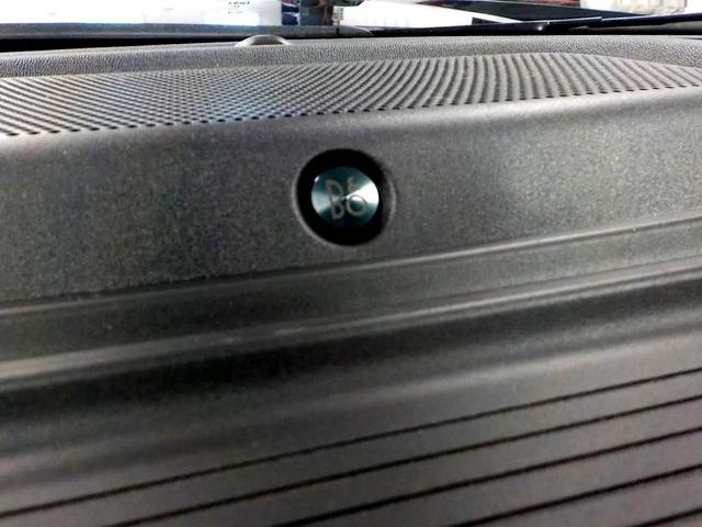 Photo of 2024 Blue Ford F-250