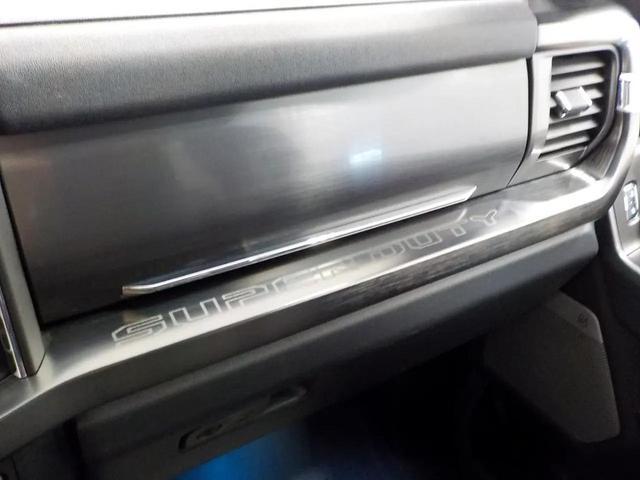 Photo of 2024 Blue Ford F-250