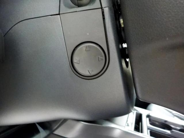 Photo of 2024 Blue Ford F-250