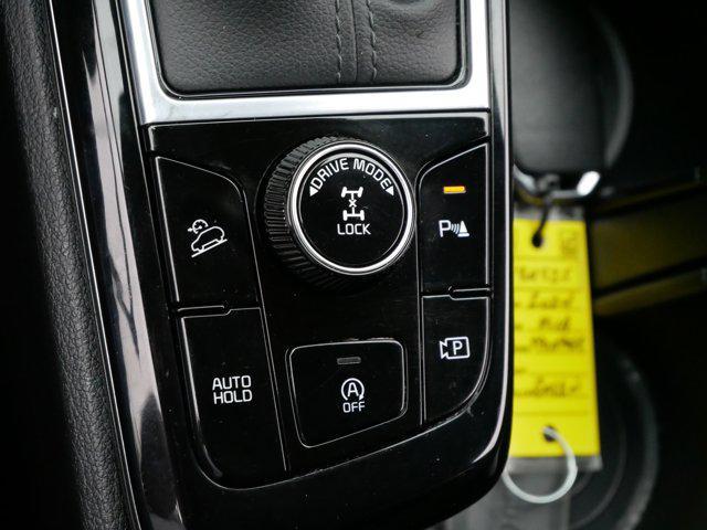 Photo of 2024 Jungle Green Kia Sportage