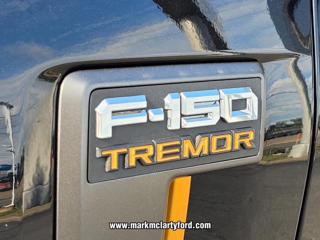 Photo of 2025 AGATE BLACK METALLIC Ford F-150