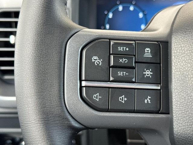 Photo of 2025 White Ford F-150