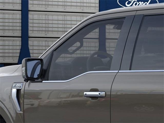 Photo of 2025 Gray Ford F-150