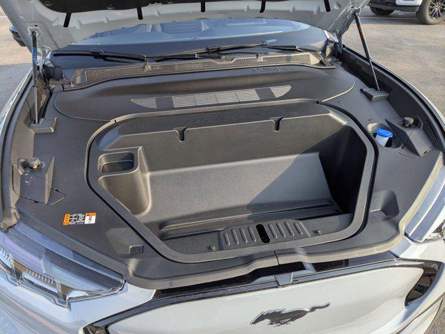 Photo of 2025 Glacier Gray Metallic TriCoat Ford Mustang Mach-E
