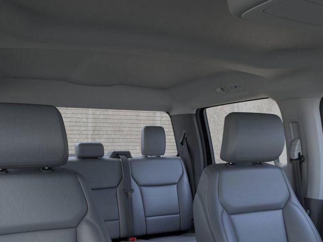 Photo of 2025 Black Metallic Ford F-150 Lightning