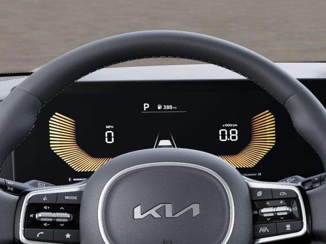 Photo of 2025 Metal Kia Carnival