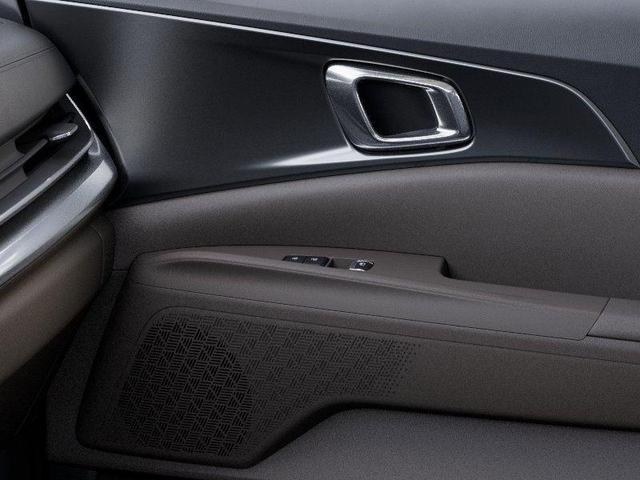 Photo of 2025 Metal Kia Carnival