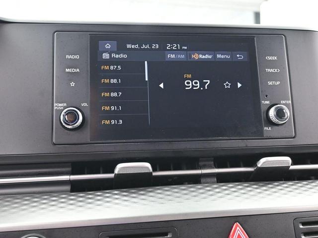 Photo of 2023 Flare Red Kia Carnival