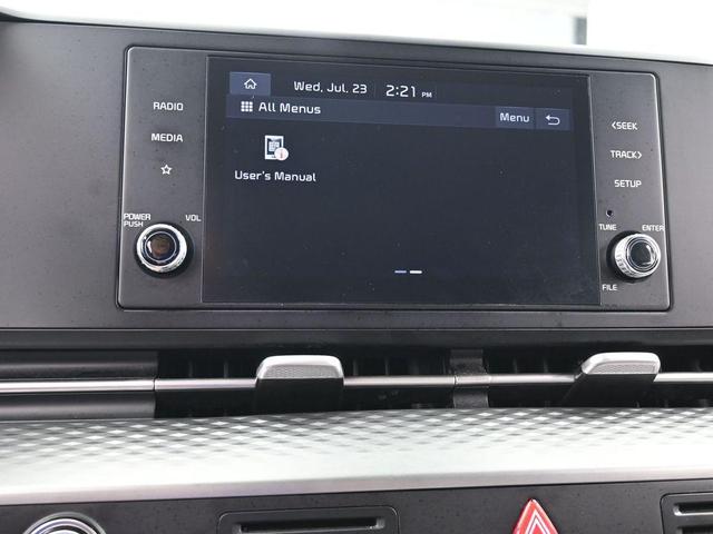 Photo of 2023 Flare Red Kia Carnival
