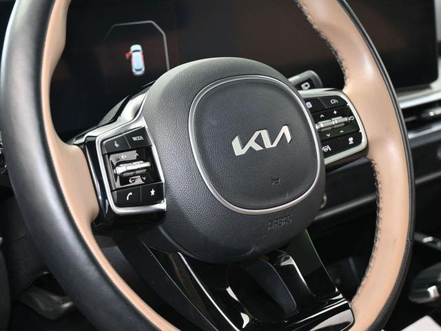 Photo of 2024 Wolf Gray Kia Sorento