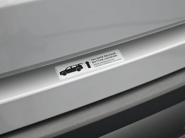 Photo of 2024 Wolf Gray Kia Sorento