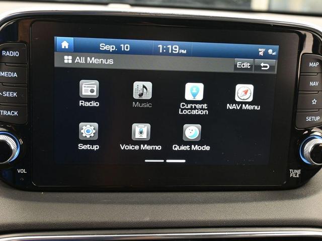 Photo of 2020 Rainforest Hyundai SANTA FE