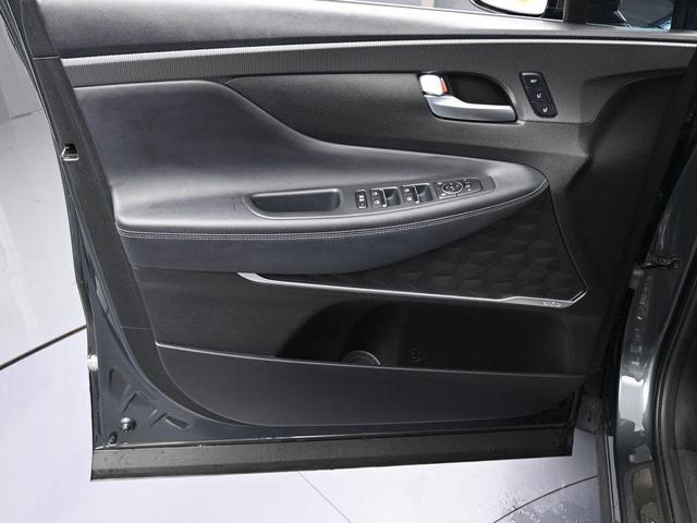 Photo of 2020 Rainforest Hyundai SANTA FE