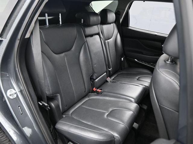Photo of 2020 Rainforest Hyundai SANTA FE