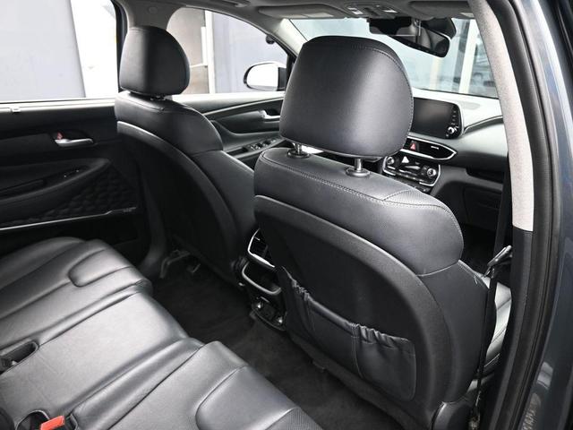 Photo of 2020 Rainforest Hyundai SANTA FE