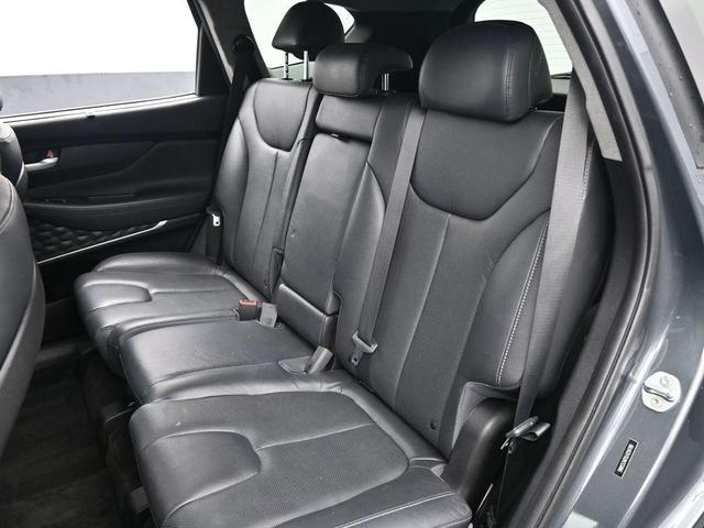 Photo of 2020 Rainforest Hyundai SANTA FE