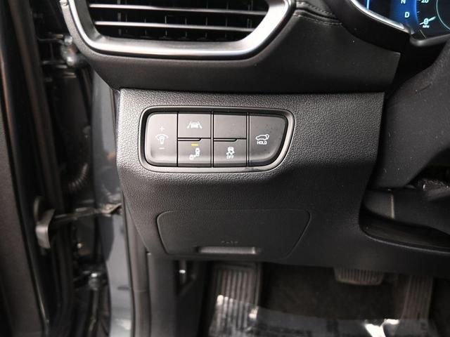 Photo of 2020 Rainforest Hyundai SANTA FE