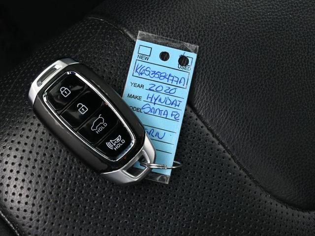 Photo of 2020 Rainforest Hyundai SANTA FE