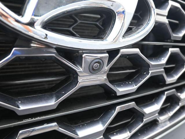 Photo of 2020 Rainforest Hyundai SANTA FE