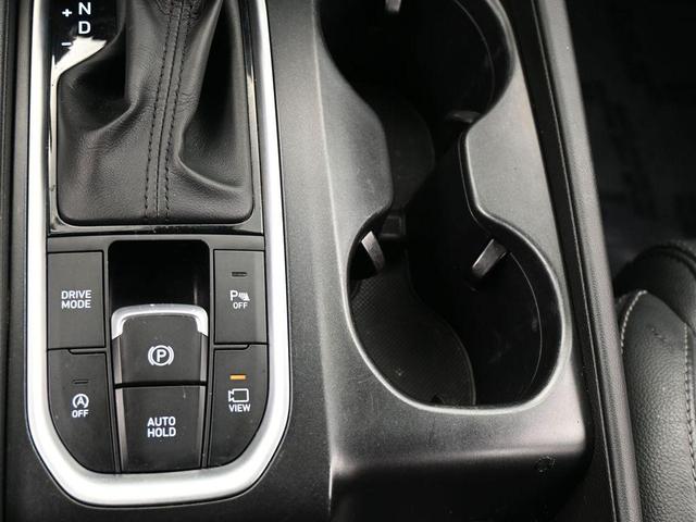 Photo of 2020 Rainforest Hyundai SANTA FE