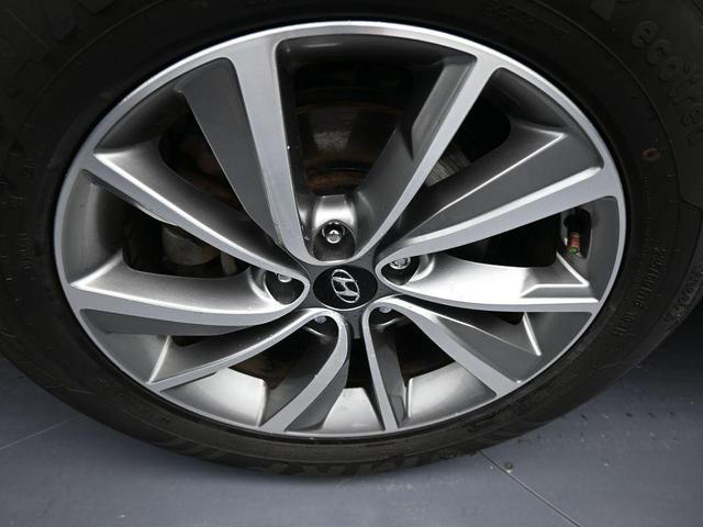 Photo of 2020 Rainforest Hyundai SANTA FE