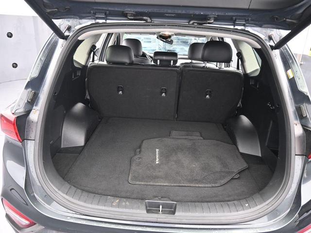 Photo of 2020 Rainforest Hyundai SANTA FE