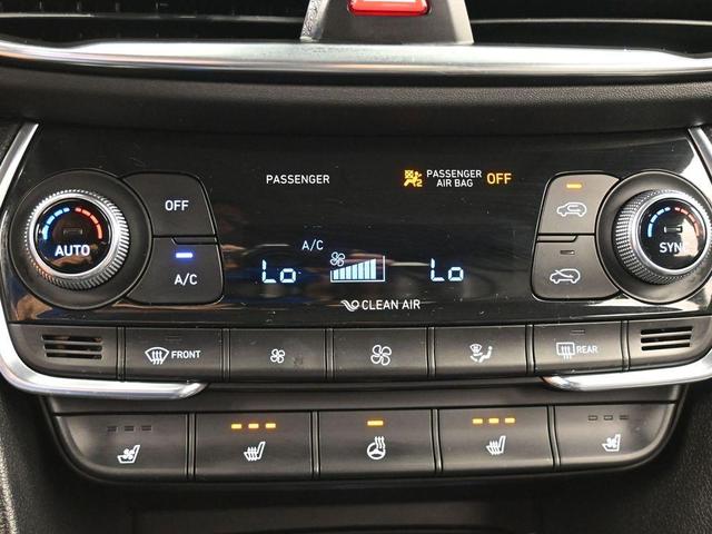 Photo of 2020 Rainforest Hyundai SANTA FE