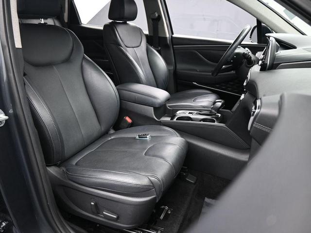 Photo of 2020 Rainforest Hyundai SANTA FE